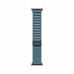 Apple Watch Ultra 3, 49 мм, Черный/Голубой, Alpine Loop