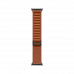 Apple Watch Ultra 3, 49 мм, Черный/Терракота, Alpine Loop