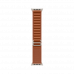 Apple Watch Ultra 3, 49 мм, Натуральный титан/Терракота, Alpine Loop