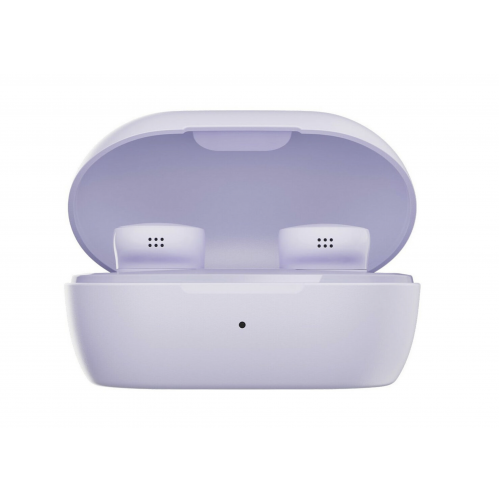Беспроводные наушники Bose Quiet Comfort Earbuds 5V, Фиолетовый