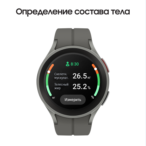 Samsung Galaxy Watch 5 Pro, 45 мм, Серый