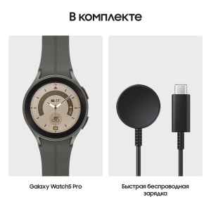 Samsung Galaxy Watch 5 Pro, 45 мм, Серый