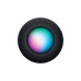 Беспроводная умная колонка Apple HomePod 2, Черный