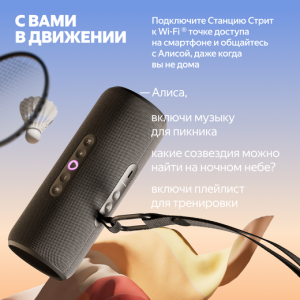 Умная колонка Яндекс Станция Стрит с Алисой, Черный