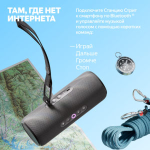 Умная колонка Яндекс Станция Стрит с Алисой, Черный