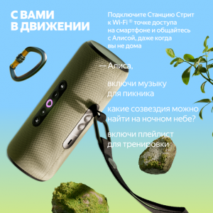 Умная колонка Яндекс Станция Стрит с Алисой, Зеленый