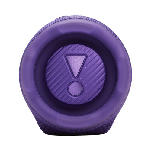 Портативная акустика JBL Charge 6, Фиолетовый