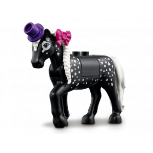 Конструктор Lego Magical Acrobatics