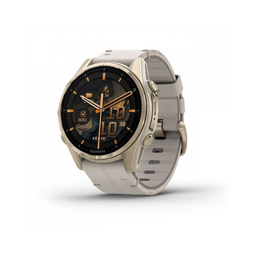 Умные часы Garmin Fenix 8, 43 мм, Золотистый