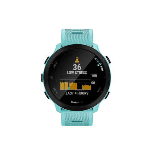 Умные часы Garmin Forerunner 55, Аква