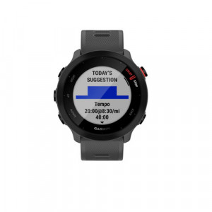 Умные часы Garmin Forerunner 55, Серый