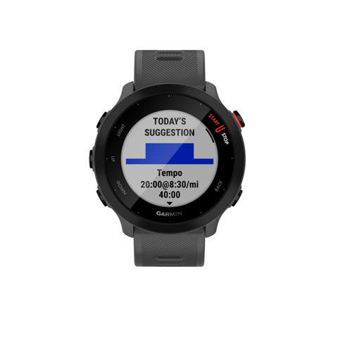 Умные часы Garmin Forerunner 55, Серый