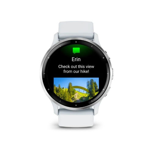 Умные часы Garmin Venu 3, Серебристый