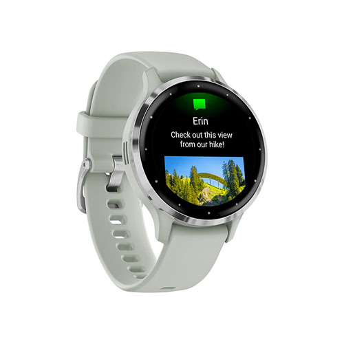 Умные часы Garmin Venu 3S, Серебристый/Серо-зеленый