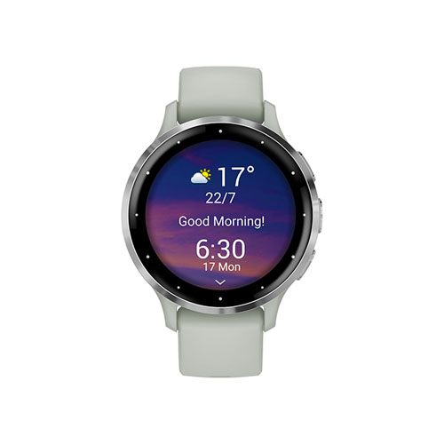 Умные часы Garmin Venu 3S, Серебристый/Серо-зеленый