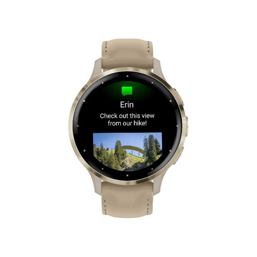 Умные часы Garmin Venu 3S, Золотой/Французский серый, Кожаный ремешок