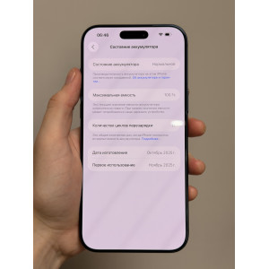 iPhone 17 Pro Max 256гб синий Esim