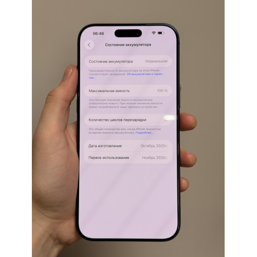 iPhone 17 Pro Max 256гб синий Esim