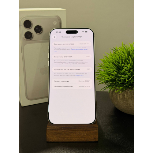 iPhone 17 Pro Max 256гб серебристый eSim