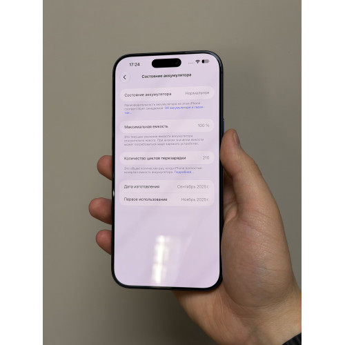 iPhone 17 Pro Max 256ГБ синий sim+esim