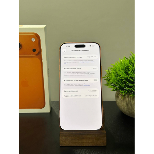 iPhone 17 Pro Max 1тб оранжевый eSIM