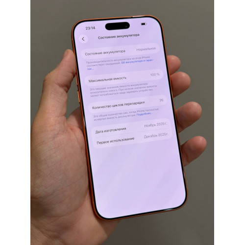 iPhone 17 Pro Max 256гб Оранжевый