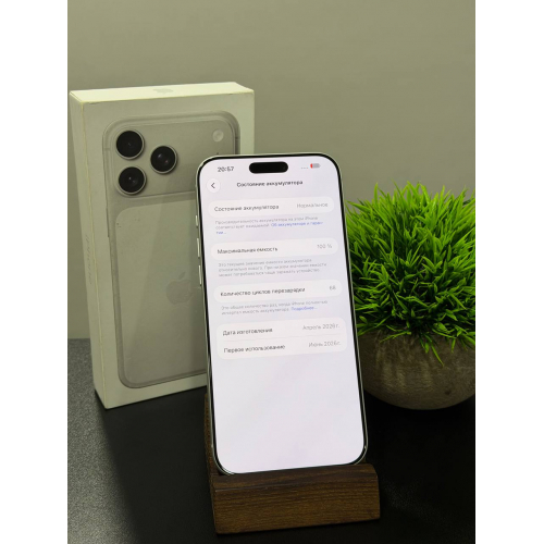 iPhone 17 Pro Max 1TB sim+esim серебристый