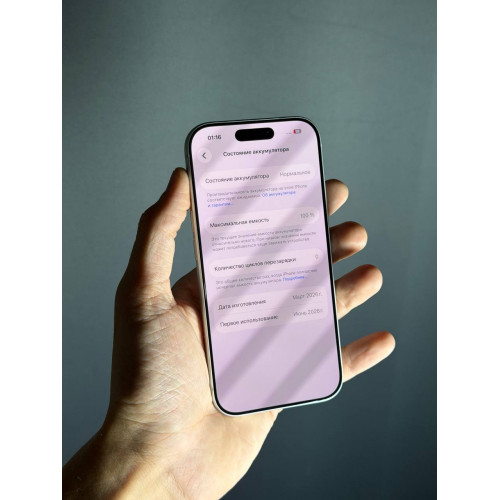 iPhone 17 Pro 256гб Серебристый