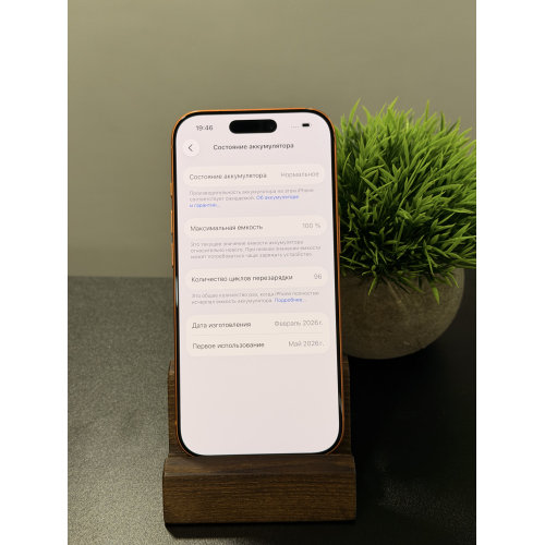 iPhone 17 Pro 256гб Sim+eSim оранжевый