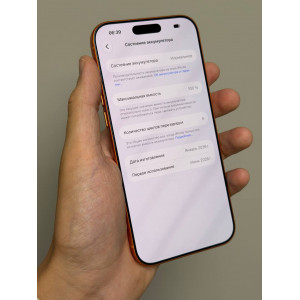 iPhone 17 Pro Max 256гб Оранжевый