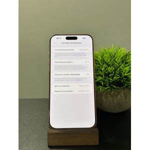 iPhone 17 Pro Max 256гб оранжевый eSIM
