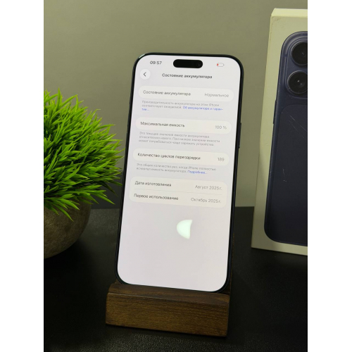 iPhone 17 Pro Max 256гб синий eSim