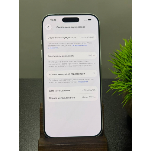 iPhone 17 Pro 256гб серебро sim + eSIM