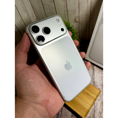 17 Pro Max, Silver, 256GB, eSIM