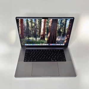 Apple MacBook Pro 16 2021 M1 Pro Ростест