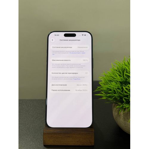 iPhone 17 Pro Max 512гб Синий sim eSIM