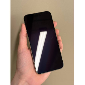 iPhone 15 Pro Max 256 Natural Titanium