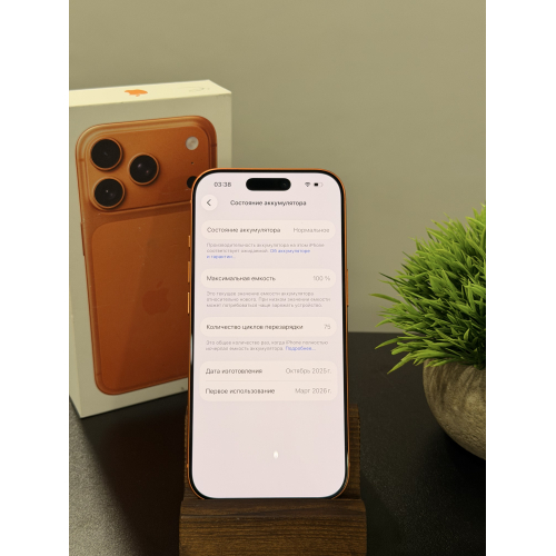 iPhone 17 Pro 256гб оранжевый eSim