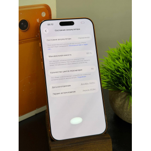 iPhone 17 Pro Max 1TB (1024гб) eSIM оранжевый