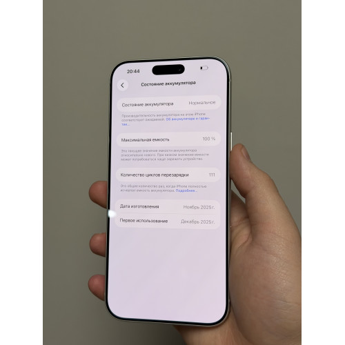 iPhone 17 Pro Max 256ГБ серебристый eSim