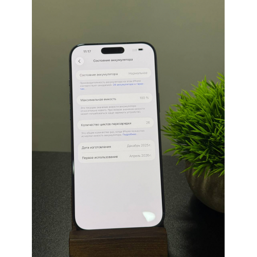 iPhone 17 Pro Max 256гб синий eSim