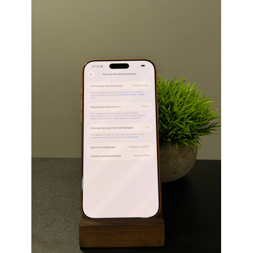 iPhone 17 Pro Max 256гб оранжевый Sim+eSim