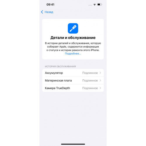 iPhone 13 256 Starlight