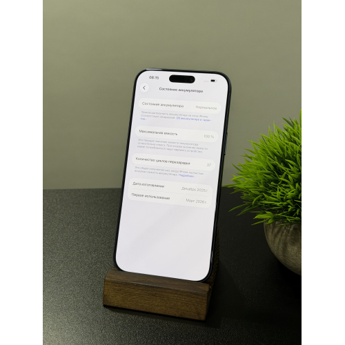 iPhone 17 Pro Max 512ГБ синий sim+esim