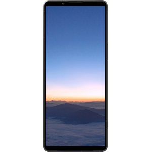 Sony Xperia 1 V 12/512 ГБ, Темно-зеленый