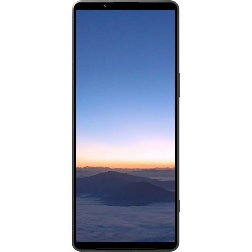 Sony Xperia 1 V 12/512 ГБ, Темно-зеленый