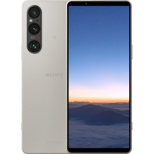 Sony Xperia 1 V 12/512 ГБ, Серебристый