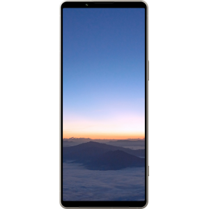 Sony Xperia 1 V 12/512 ГБ, Серебристый