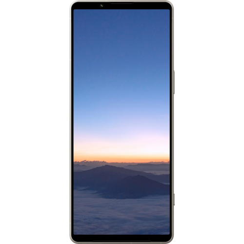 Sony Xperia 1 V 12/512 ГБ, Серебристый